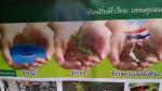 โครงการรักน้ำ รักป่า รักษาแผ่นดิน